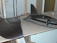 DSC03708  Winglets saumon